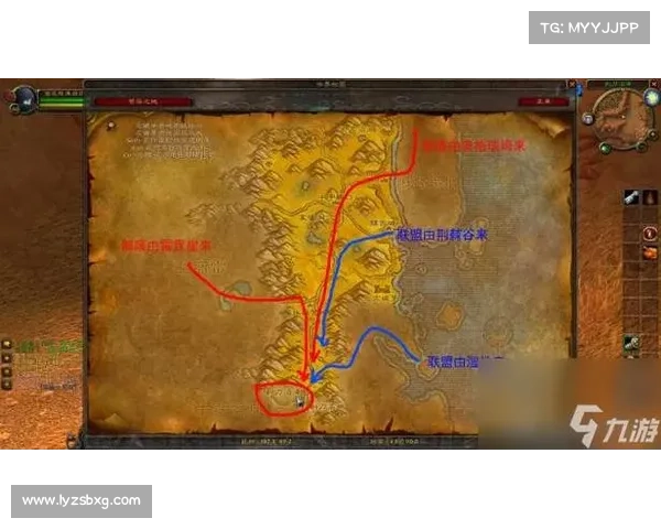 魔兽世界宠物仓库管理地图：全新视角展示宠物收集之路